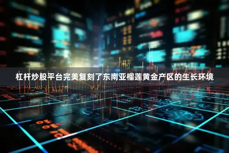 杠杆炒股平台完美复刻了东南亚榴莲黄金产区的生长环境