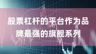 股票杠杆的平台作为品牌最强的旗舰系列